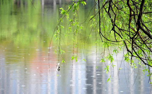 雨中的守护者 —— 贵德珍珠棉的应用实践